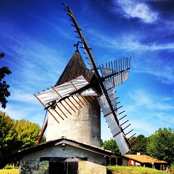 Moulin Brush
