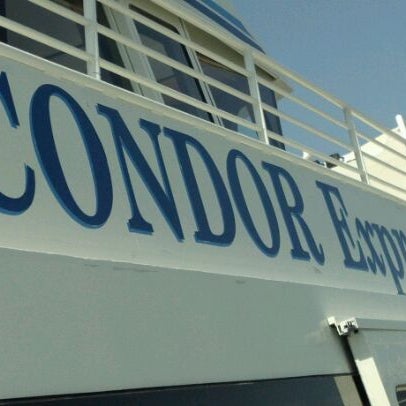 4/6/2012에 Marcia님이 Condor Express Whale Watching에서 찍은 사진