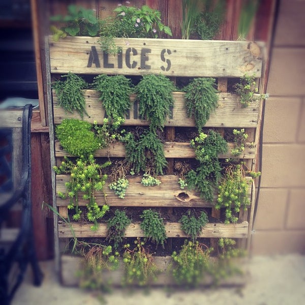 Photo taken at Alice&#39;s Arbor by Talisa C. on 8/19/2012