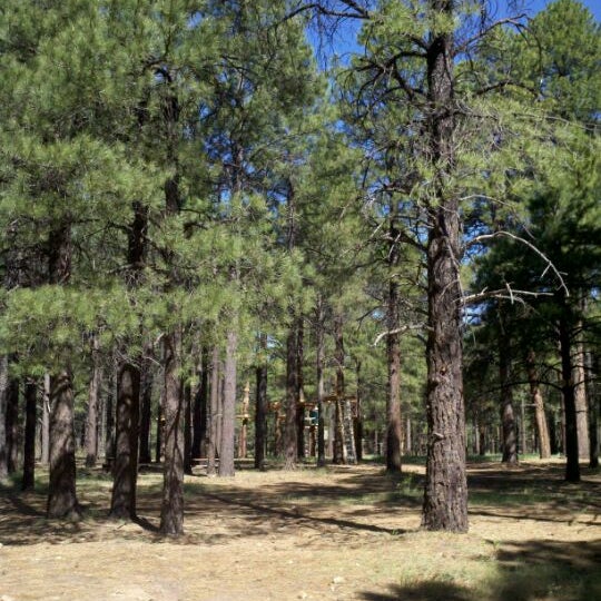 Photo taken at Flagstaff Extreme Adventure Course by Angele S. on 5/25/2012