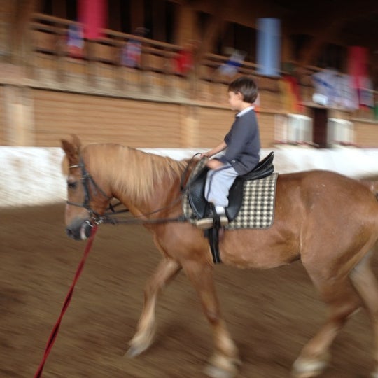 Конюшня хлопово. Конюшня solana stables. Лошади на ферме. Конюшня в замке. Лошади на ферме.