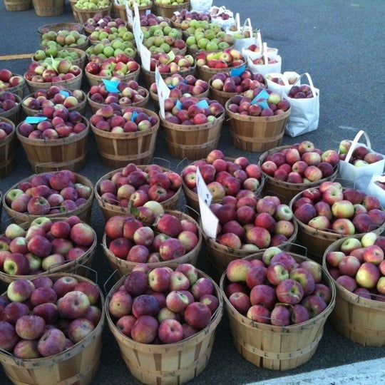 East Aurora Farmers Market East Aurora, NY