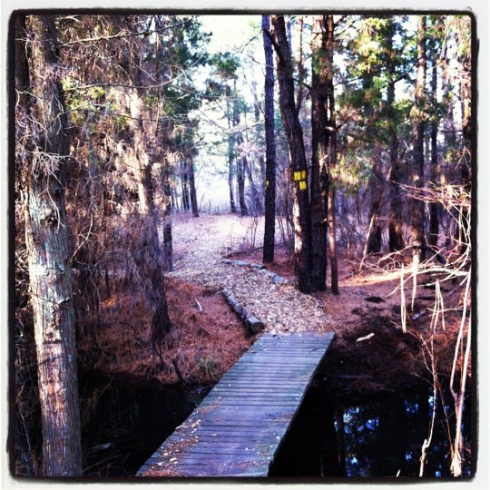 Cattus Island Park Toms River, NJ