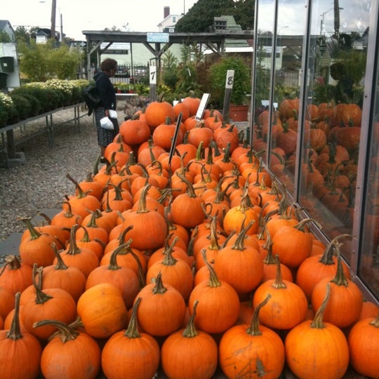 Foto diambil di Pemberton Farms &amp; Garden Center oleh Mark S. pada 1/10/2012
