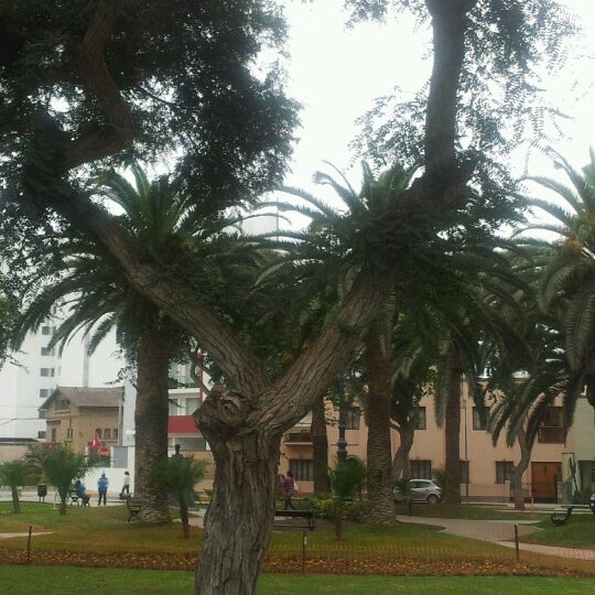 7/26/2012 tarihinde Renzo S.ziyaretçi tarafından Parque Manuel Solari Swayne'de çekilen fotoğraf