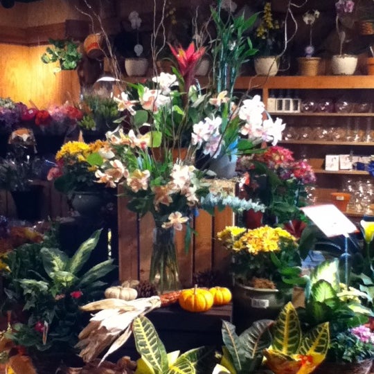 We are proclaimed by my customers as the best place for the freshest flowers. Come by and see what we have to offer!