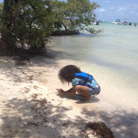Picnic Island