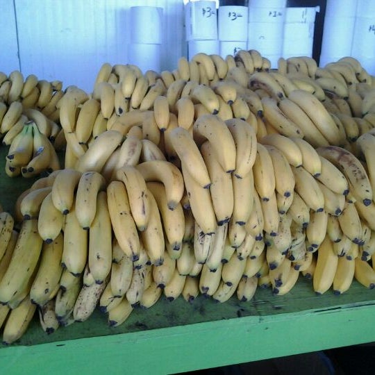 OpaLocka Hialeah Flea Market 10 tips from 393 visitors