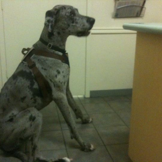Photo taken at Austin Vet Care at Central Park by Todd G. on 3/6/2012