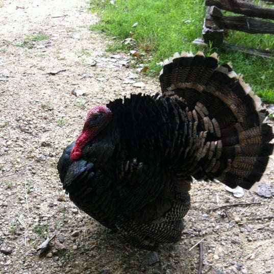 Claude Moore Colonial Farm (Now Closed) History Museum
