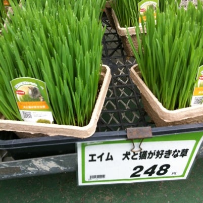 ケーヨーデイツー 新浦安店 3 Tips