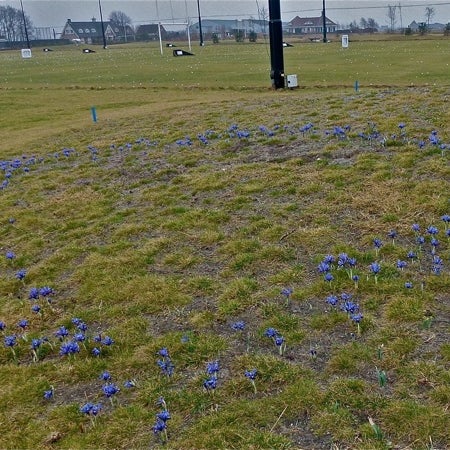 รูปภาพถ่ายที่ Golfbaan Tespelduyn โดย Eline v. เมื่อ 3/1/2012