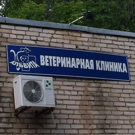 Орловская ул ветклиника. Ветклиника в орле круглосуточно. Ветклиника на наставников. Свободный. Ветклиника охотник орел.