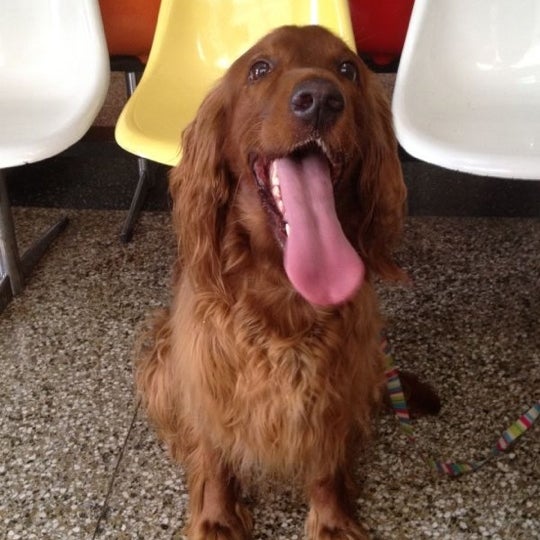 Veterinaria Lacram Veterinarian in San Bernardino