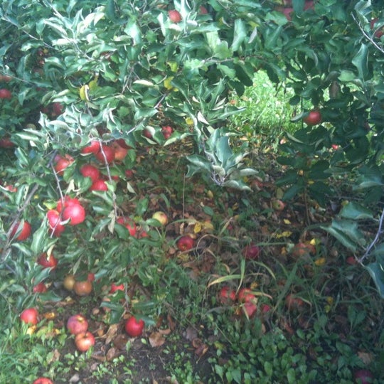 Foto diambil di All Seasons Orchard oleh Megan M. pada 10/16/2011