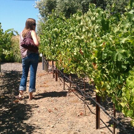 Photo taken at Black Stallion Winery by Victoria H. on 8/15/2011
