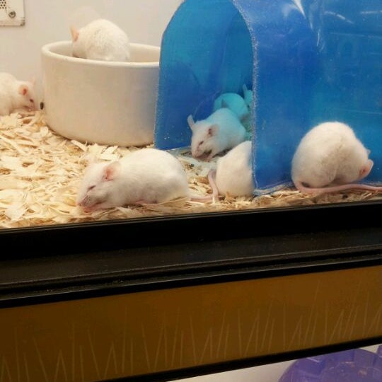 Petco Northwest Side San Antonio, TX