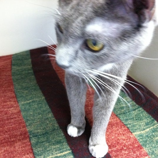 Loveland Regional Veterinary Hospital 1 Tip From 13 Visitors