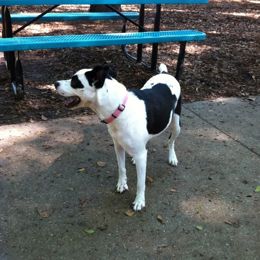 West Orange Dog Park Winter Garden, FL