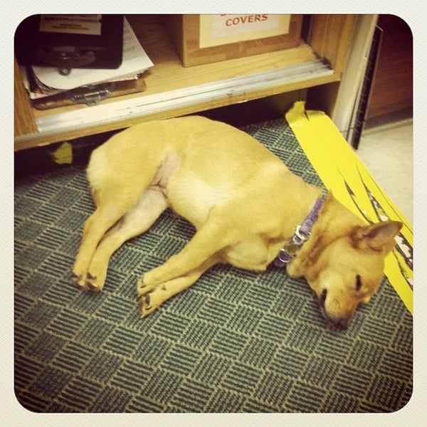 Photo taken at Park Road Books by Sarah H. on 4/27/2012