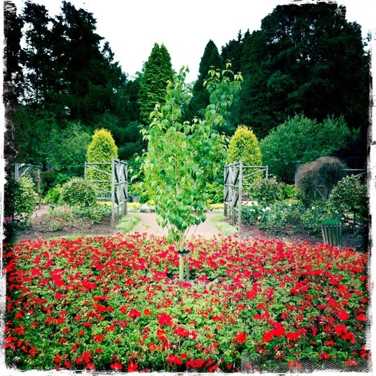 Rouken Glen Park Park in Giffnock