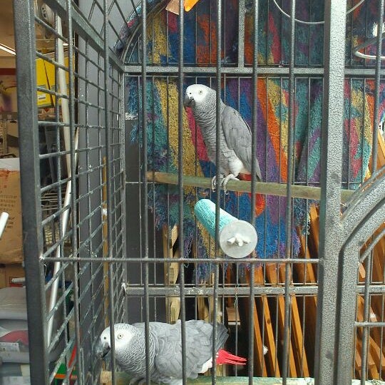 Builders Express Hardware Store in Port Elizabeth