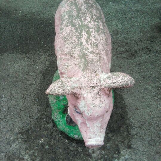 Photos at Boice Bros. Dairy Kingston, NY