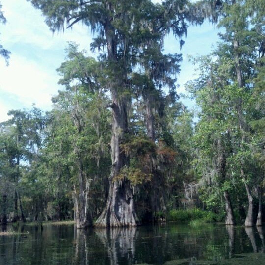 Das Foto wurde bei Cajun Country Swamp Tours von Linda F. am 8/15/2011 aufgenommen