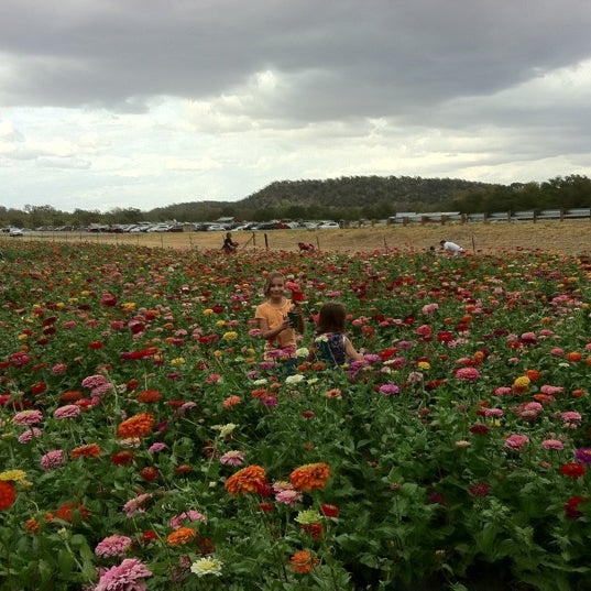 Sweet Berry Farm 15 tips