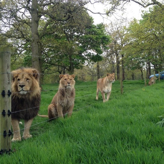Photo taken at Knowsley Safari by Khalid on 5/9/2012