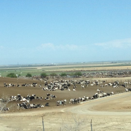 Harris Ranch Cattle Yards - 29475 Fresno Coalinga Rd