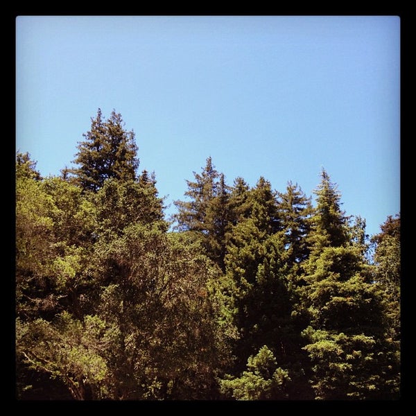 Photo taken at Big Sur Lodge by Robyn S. on 6/9/2012