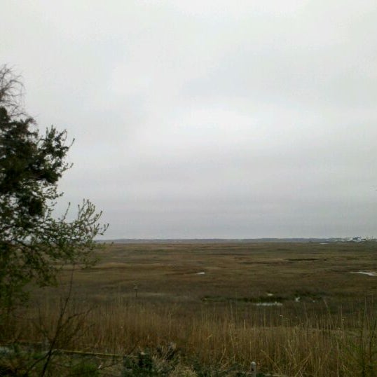 รูปภาพถ่ายที่ Wetlands Institute โดย Dave T. เมื่อ 3/31/2012