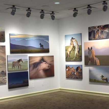 Be sure to check out the John Stephen Hockensmith: Spanish Mustang Exhibition in the Main Gallery May 3 - June 30, 2012!