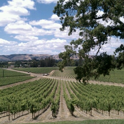 visiting scribe winery visiting scribe winery