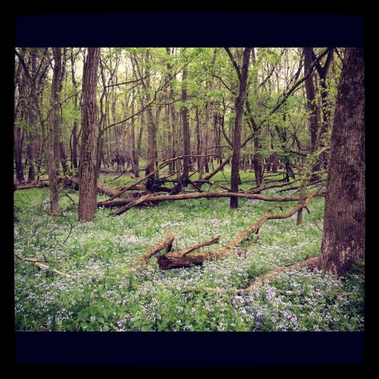 Photo taken at Robert Allerton Park (Allerton Park and Retreat Center) by Amy S. on 4/9/2012