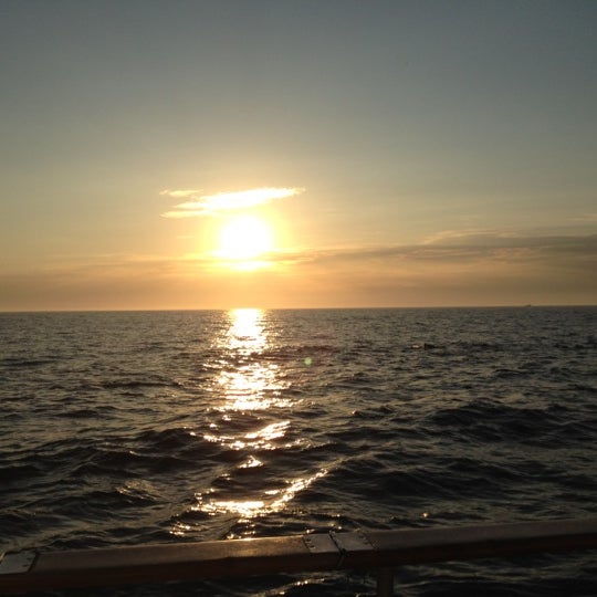 9/6/2012 tarihinde Carol .ziyaretçi tarafından Dana Wharf Whale Watching'de çekilen fotoğraf