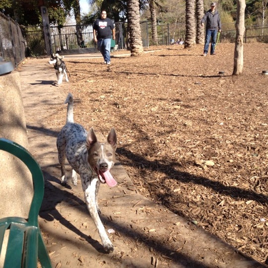 Oberrieder Dog Park Dog Run in Los Angeles