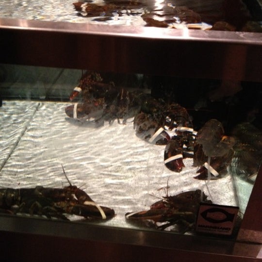 1/15/2012에 Tiffany S.님이 Red Lobster에서 찍은 사진