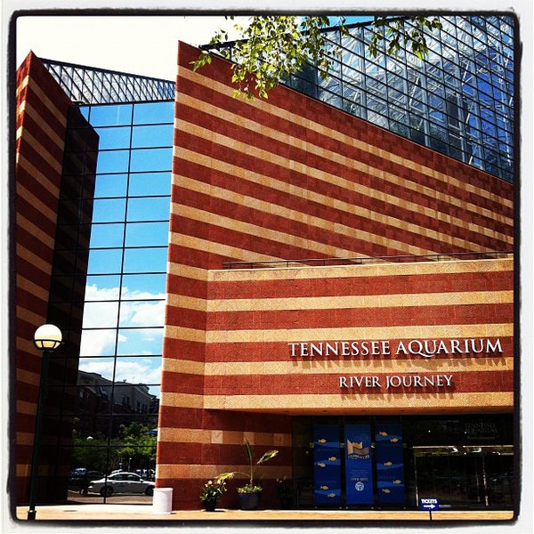 Photos at Aquarium Plaza Downtown Chattanooga Chattanooga, TN