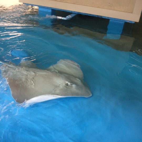 Gulf World Marine Park Aquarium in Panama City Beach