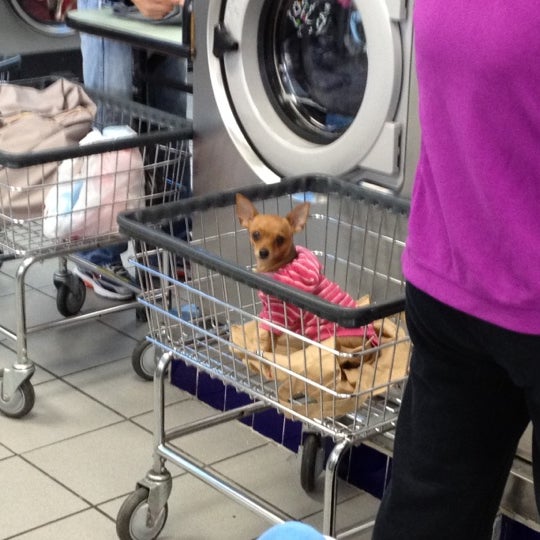 Super Laundromat Norwood Bronx, NY