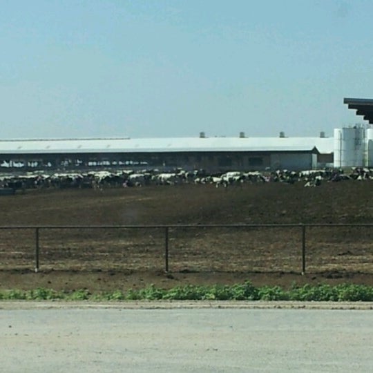 Legacy Farms Dairy Farm in Plainview