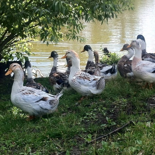 Дзержинский