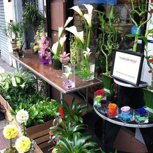 East Harlem Florist East Harlem New York, NY