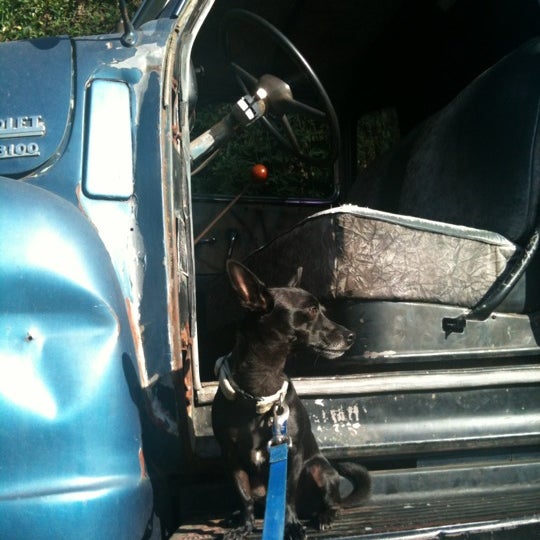 6/6/2012 tarihinde Floy B.ziyaretçi tarafından Bluecollar Working Dog'de çekilen fotoğraf