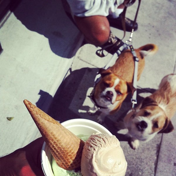 Photos at Mr. & Mrs. Miscellaneous Ice Cream Shop in Dogpatch