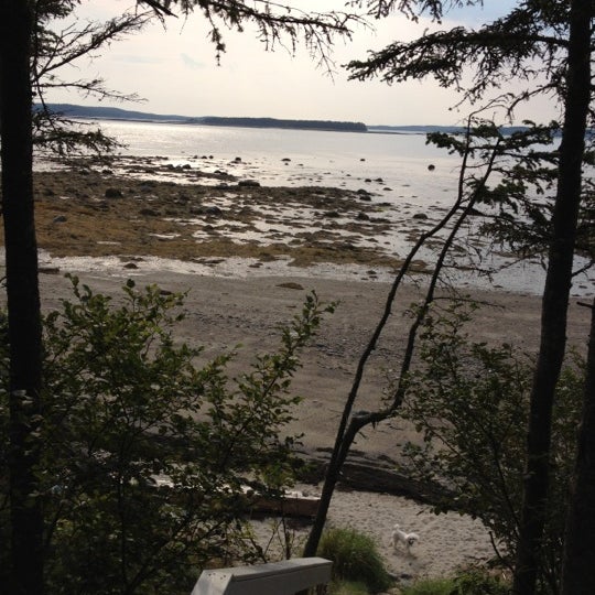 Willy Bear Beach Download