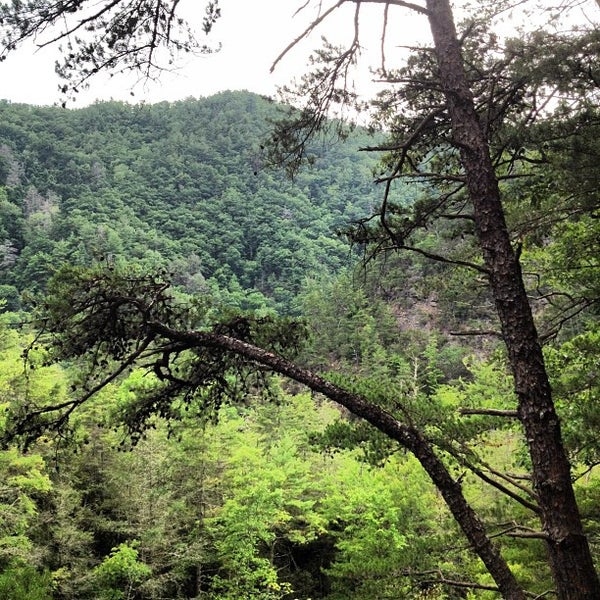 Laurel Fork Trailhead Tiger Valley, TN