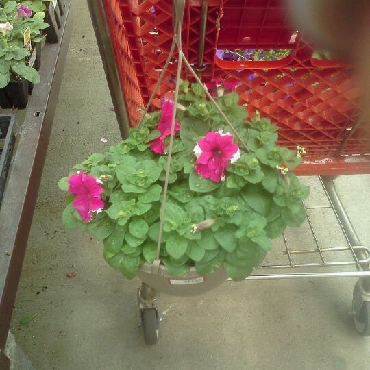 Lowe's Kernersville, NC